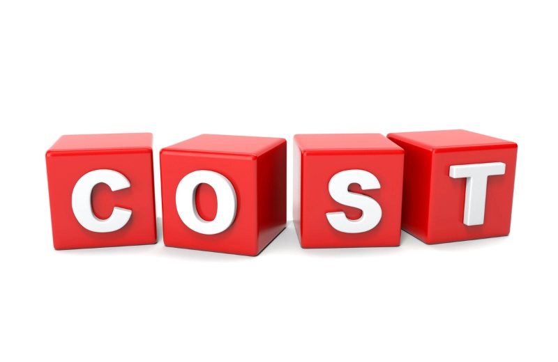 How Much Does a Custom WordPress Theme Cost?